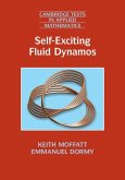Self-Exciting Fluid Dynamos (eBook, PDF)