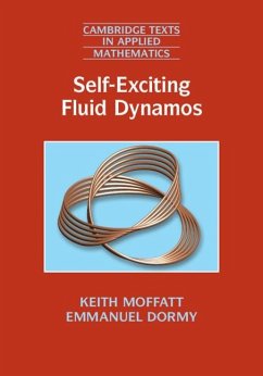 Self-Exciting Fluid Dynamos (eBook, PDF) - Moffatt, Keith