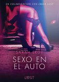 Sexo en el auto - Literatura erótica (eBook, ePUB)