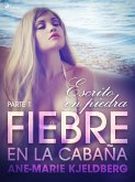 Fiebre en la cabaña, parte 1: Escrito en piedra (eBook, ePUB)