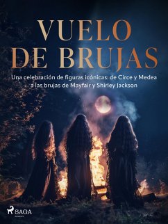 Cover Vuelo de brujas (eBook, ePUB)