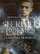 La diadema de berilos (eBook, ePUB) - Bild 1