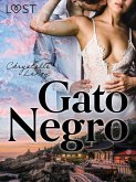 Gato Negro (eBook, ePUB)