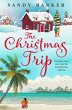The Christmas Trip (eBook, ePUB) - Bild 1