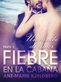 Fiebre en la cabaña, parte 3: Un cambio de amor (eBook, ePUB)