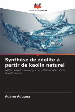 Synthèse de zéolite à partir de kaolin naturel - Adugna, Adane