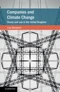 Companies and Climate Change (eBook, PDF) - Benjamin, Lisa