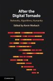 After the Digital Tornado (eBook, PDF)