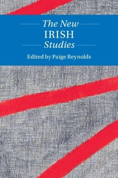 New Irish Studies (eBook, PDF)