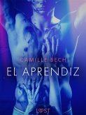 El aprendiz (eBook, ePUB)