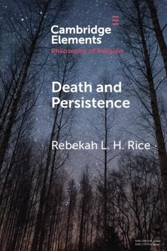 Cover Death and Persistence (eBook, PDF)
