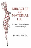 Miracles and Material Life (eBook, PDF)