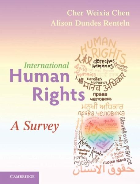 International Human Rights (eBook, ePUB)