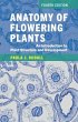 Anatomy of Flowering Plants (eBook, PDF) - Bild 1