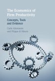 Economics of Firm Productivity (eBook, ePUB)