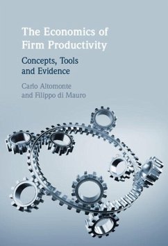 Economics of Firm Productivity (eBook, ePUB) - Altomonte, Carlo