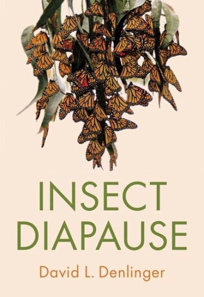 Insect Diapause (eBook, ePUB)