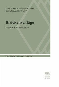 Brückenschläge (eBook, ePUB)