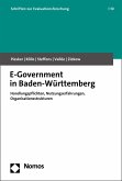 E-Government in Baden-Württemberg (eBook, PDF)