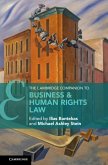 Cambridge Companion to Business and Human Rights Law (eBook, ePUB)