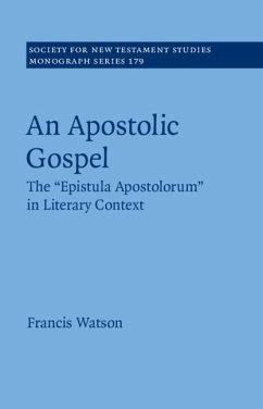 Cover Apostolic Gospel (eBook, PDF)