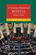 Concise History of Bolivia (eBook, ePUB) - Bild 1