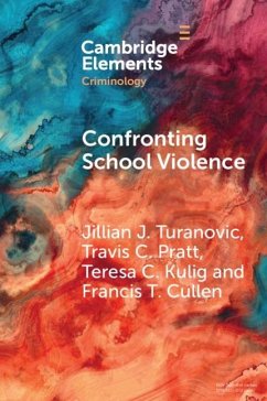 Confronting School Violence (eBook, PDF) - Turanovic, Jillian J.