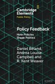 Policy Feedback (eBook, PDF)