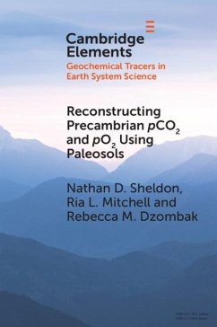 Reconstructing Precambrian pCO2 and pO2 Using Paleosols (eBook, PDF) - Sheldon, Nathan D.