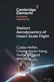 Distinct Aerodynamics of Insect-Scale Flight (eBook, PDF)