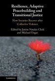 Resilience, Adaptive Peacebuilding and Transitional Justice (eBook, ePUB)