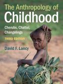 Anthropology of Childhood (eBook, ePUB)