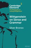 Wittgenstein on Sense and Grammar (eBook, PDF)