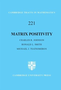 Matrix Positivity (eBook, PDF) - Johnson, Charles R.
