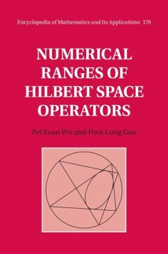 Numerical Ranges of Hilbert Space Operators (eBook, PDF) - Gau, Hwa-Long