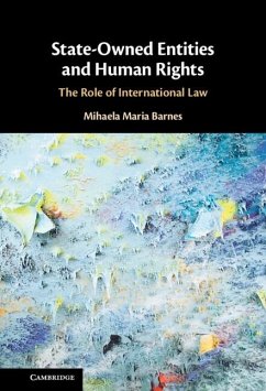 State-Owned Entities and Human Rights (eBook, PDF) - Barnes, Mihaela Maria