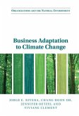 Business Adaptation to Climate Change (eBook, PDF)