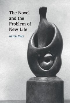 Novel and the Problem of New Life (eBook, PDF) - Matz, Aaron