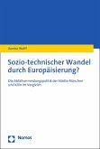 Sozio-technischer Wandel durch Europäisierung? (eBook, PDF)