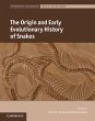 Origin and Early Evolutionary History... - Bild 1
