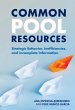 Common Pool Resources (eBook, ePUB) - Bild 1