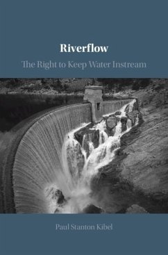 Cover Riverflow (eBook, PDF)