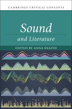 Sound and Literature (eBook, PDF)