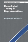 Homological Theory of Representations (eBook, PDF)
