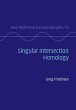 Singular Intersection Homology (eBook,... - Bild 1
