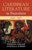 Caribbean Literature in Transition, 1920-1970: Volume 2 (eBook, PDF)