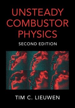 Unsteady Combustor Physics (eBook, PDF) - Lieuwen, Tim C.