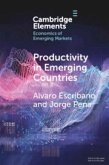 Productivity in Emerging Countries (eBook, PDF)