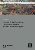 National Action Plans in the Global Governance of Business and Human Rights (eBook, PDF)