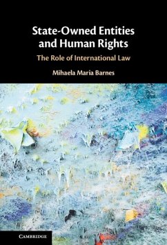 State-Owned Entities and Human Rights (eBook, ePUB) - Barnes, Mihaela Maria